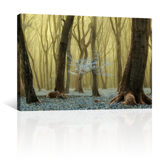 Bosque Y Flores Secreta