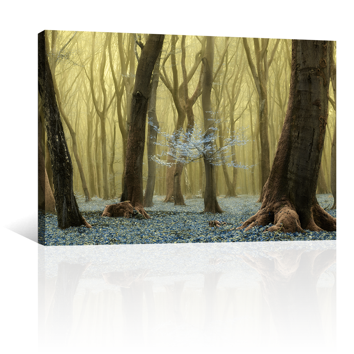 Bosque Y Flores Secreta