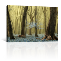 Bosque Y Flores Secreta