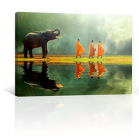 Monjes Y Elefante En Rio