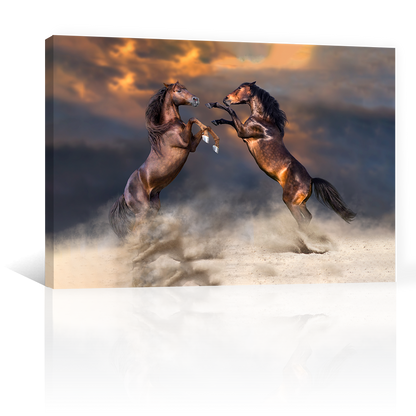 Caballos Danzando Desierto