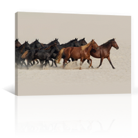 Caballos En El Desierto
