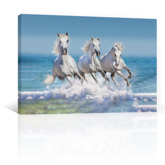 Caballos En La Playa