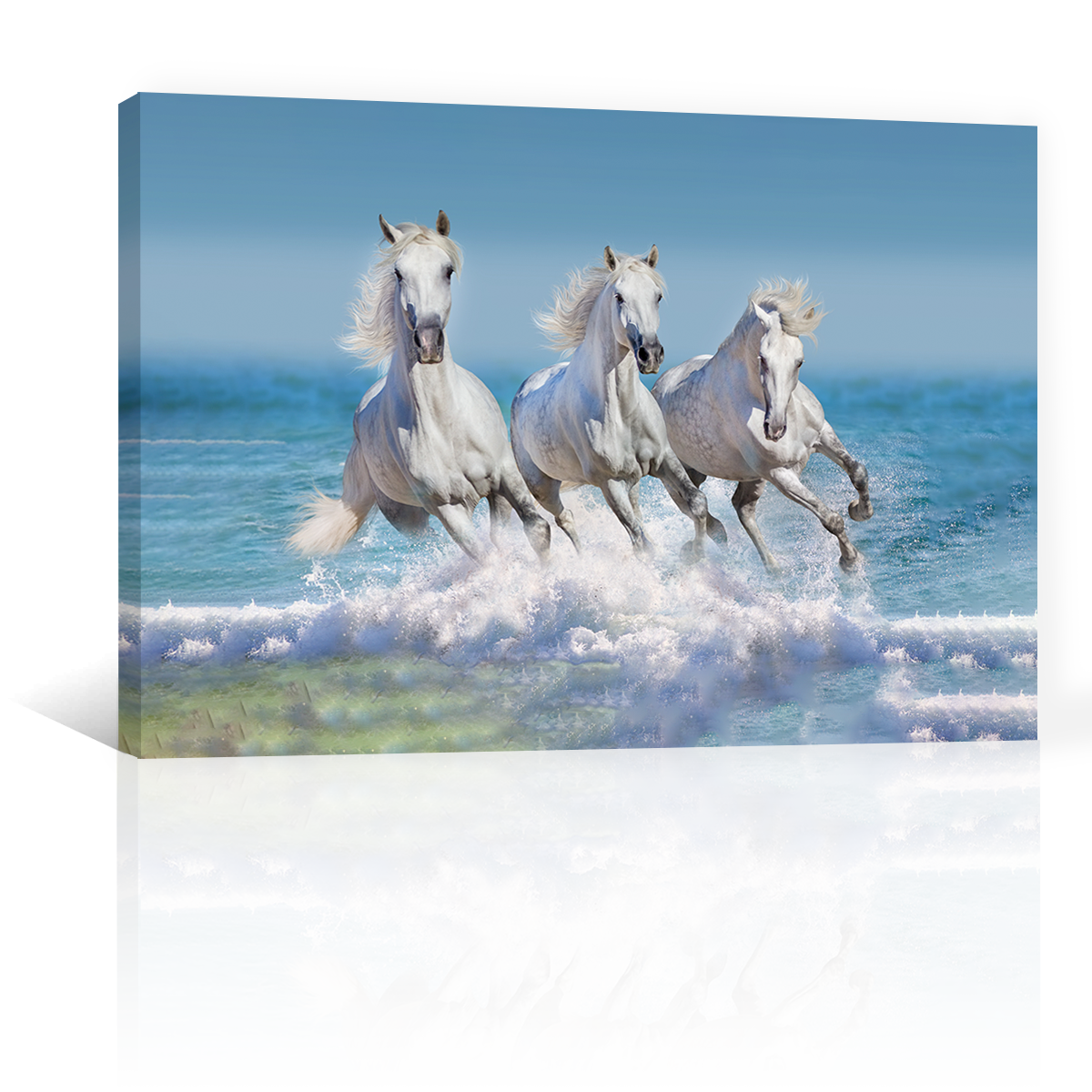 Caballos En La Playa