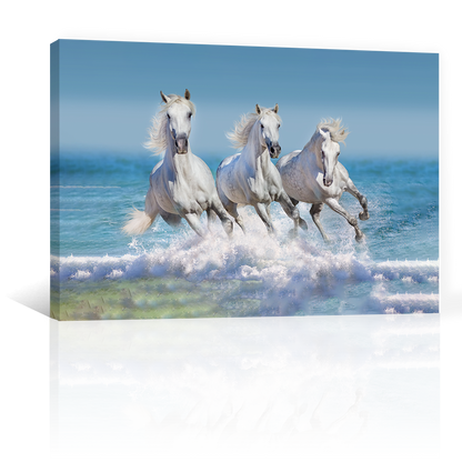Caballos En La Playa