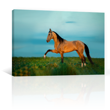 Caballo En La Pradera