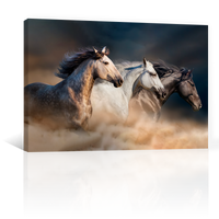 Caballos Galopando