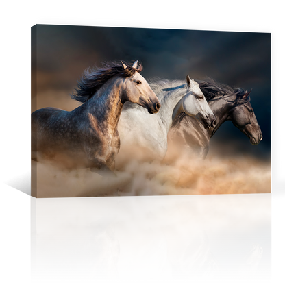 Caballos Galopando