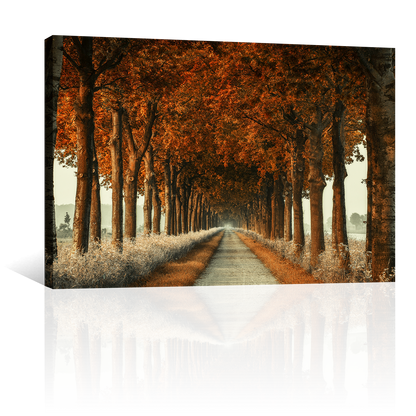 Camino De Otoño