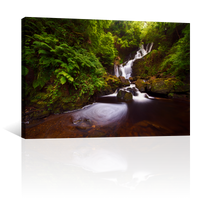 Cascada En Bosque