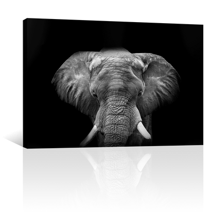 Elefante Con Colmillos