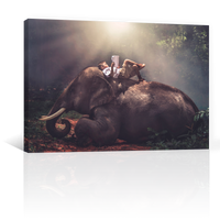 Niño Sobre Elefante