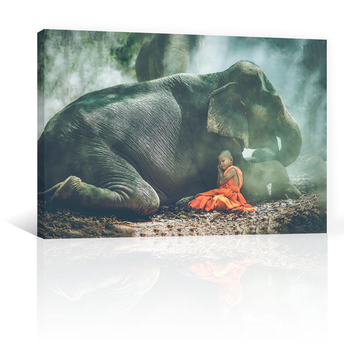 Niño Y Elefante Acostados