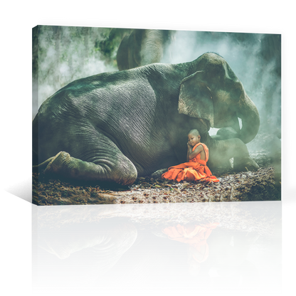 Niño Y Elefante Acostados