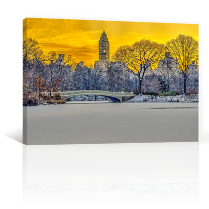 Puente De Central Park
