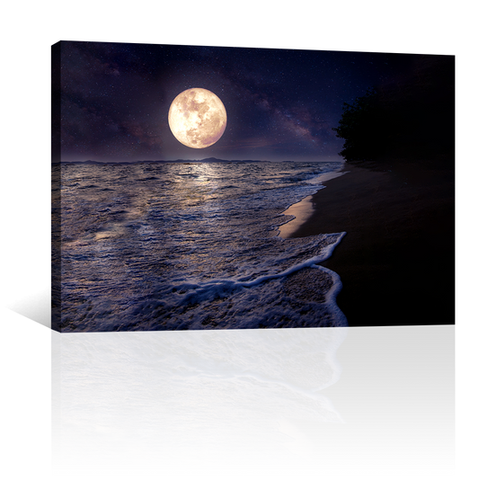 Mar Luna Llena Luz