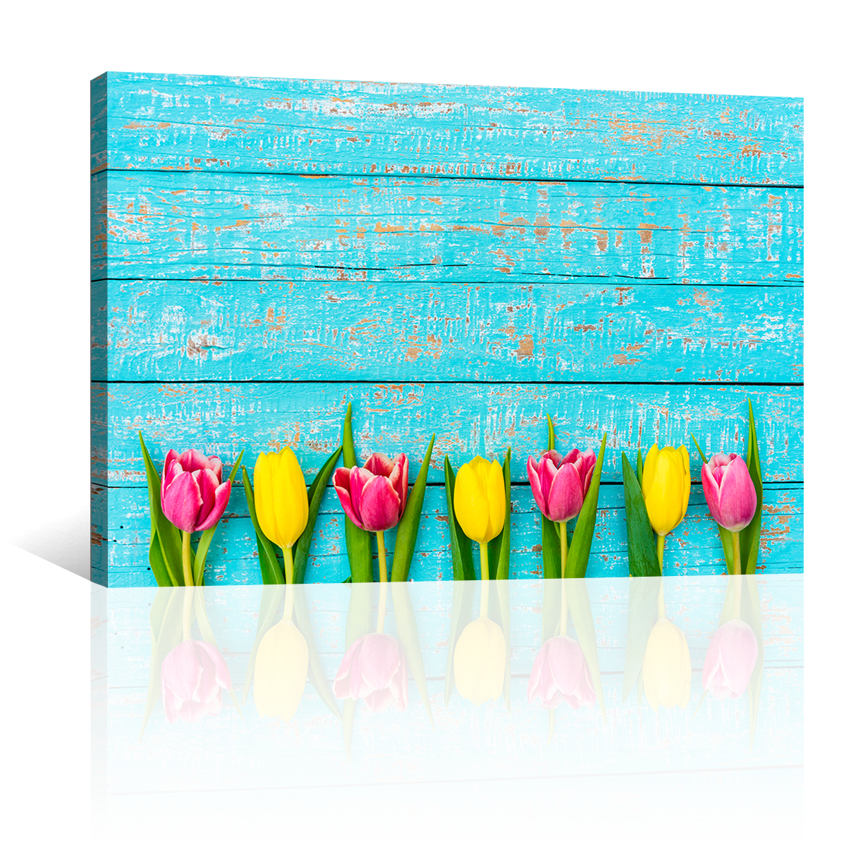 Tulipanes Colores