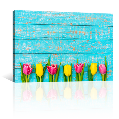 Tulipanes Colores
