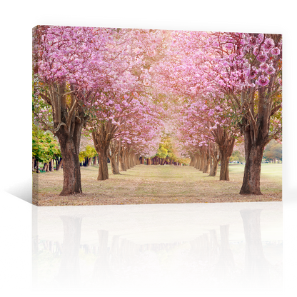 Bosque De Cerezos Rosas
