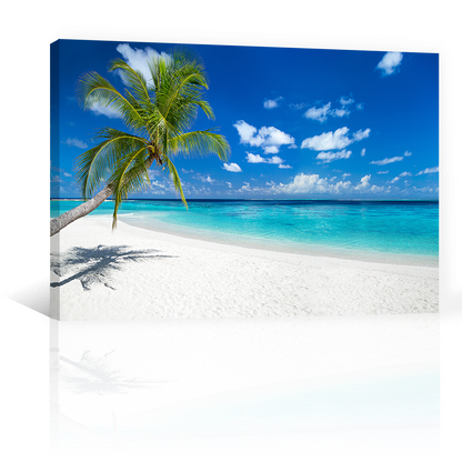 Playa Paraiso Tropical