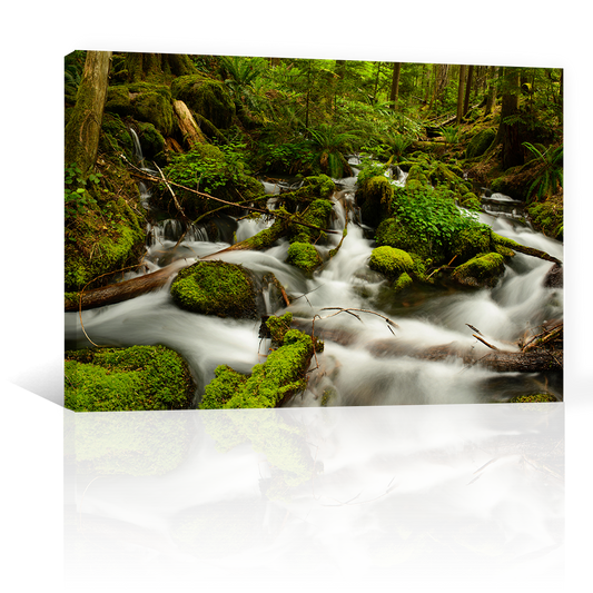 Rio Rapido Rocas Verdes