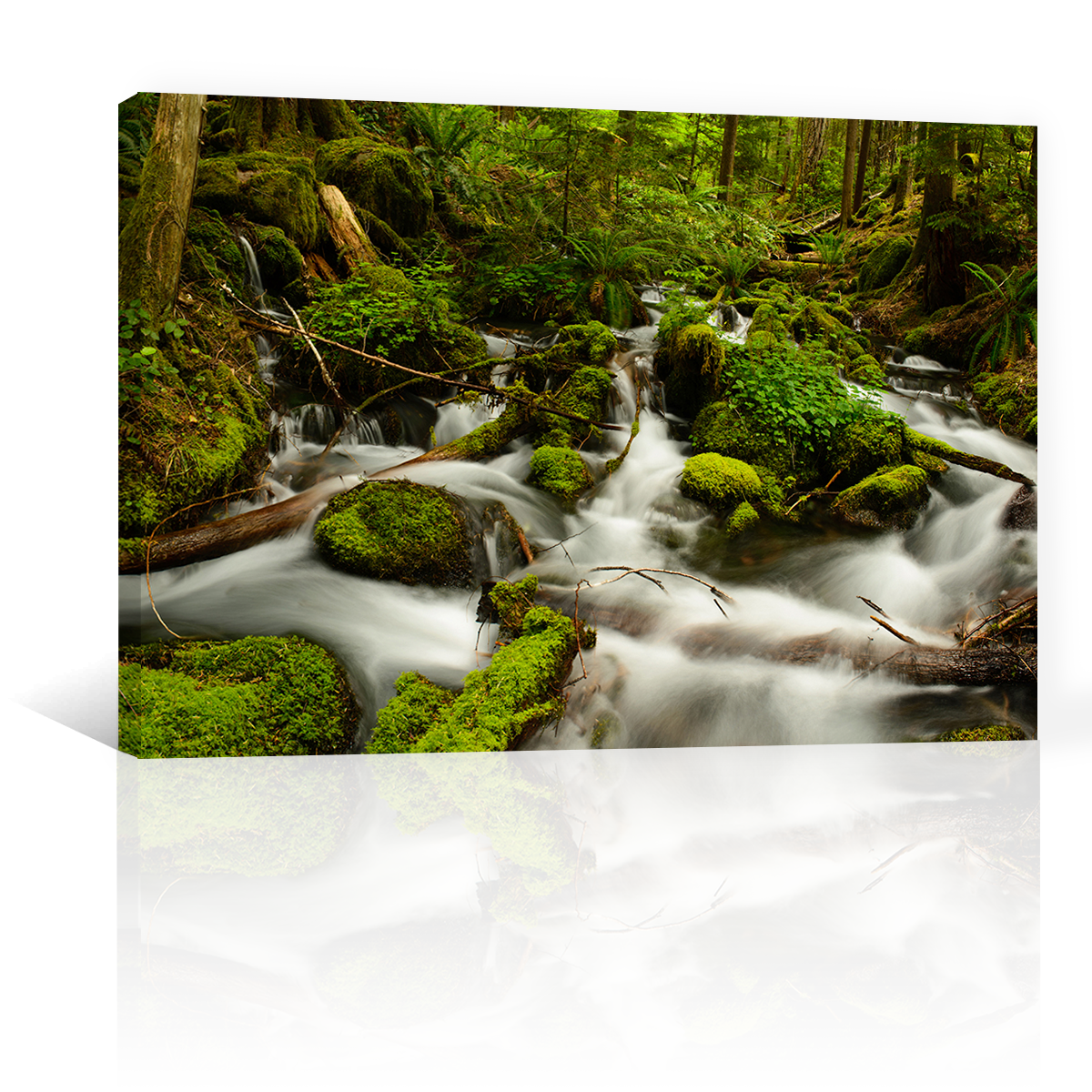 Rio Rapido Rocas Verdes