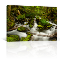 Rio Rapido Rocas Verdes