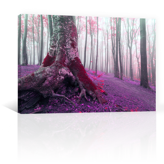 Bosque Viejo En Morado