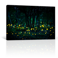 Bosque Luciernaga