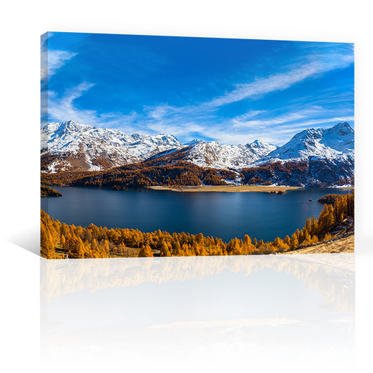 Lago Sils Otoño Dorado