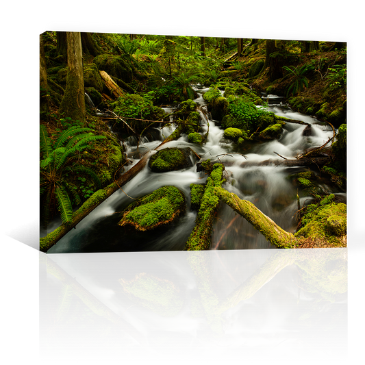 Cascada Rio Sobre Rocas