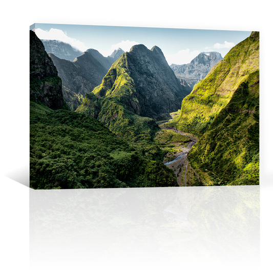 Montañas Rio Y Arboles