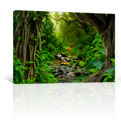 Bosque Tropical