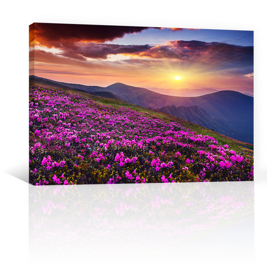 Bosque De Flores Moradas