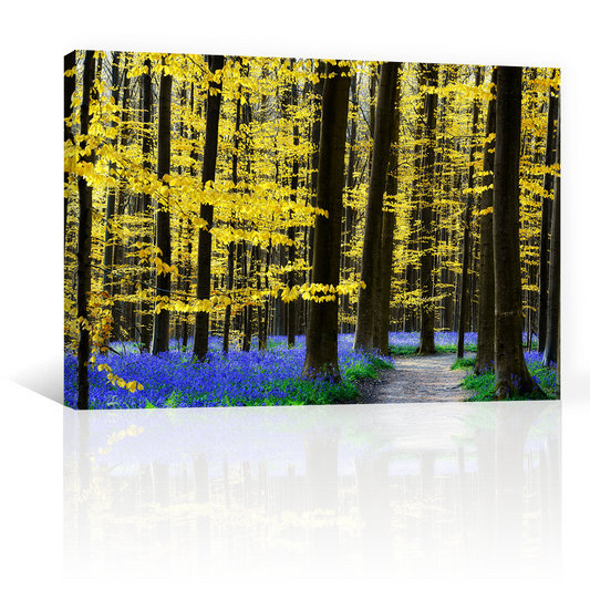 Bosque De Jacintos Lilas