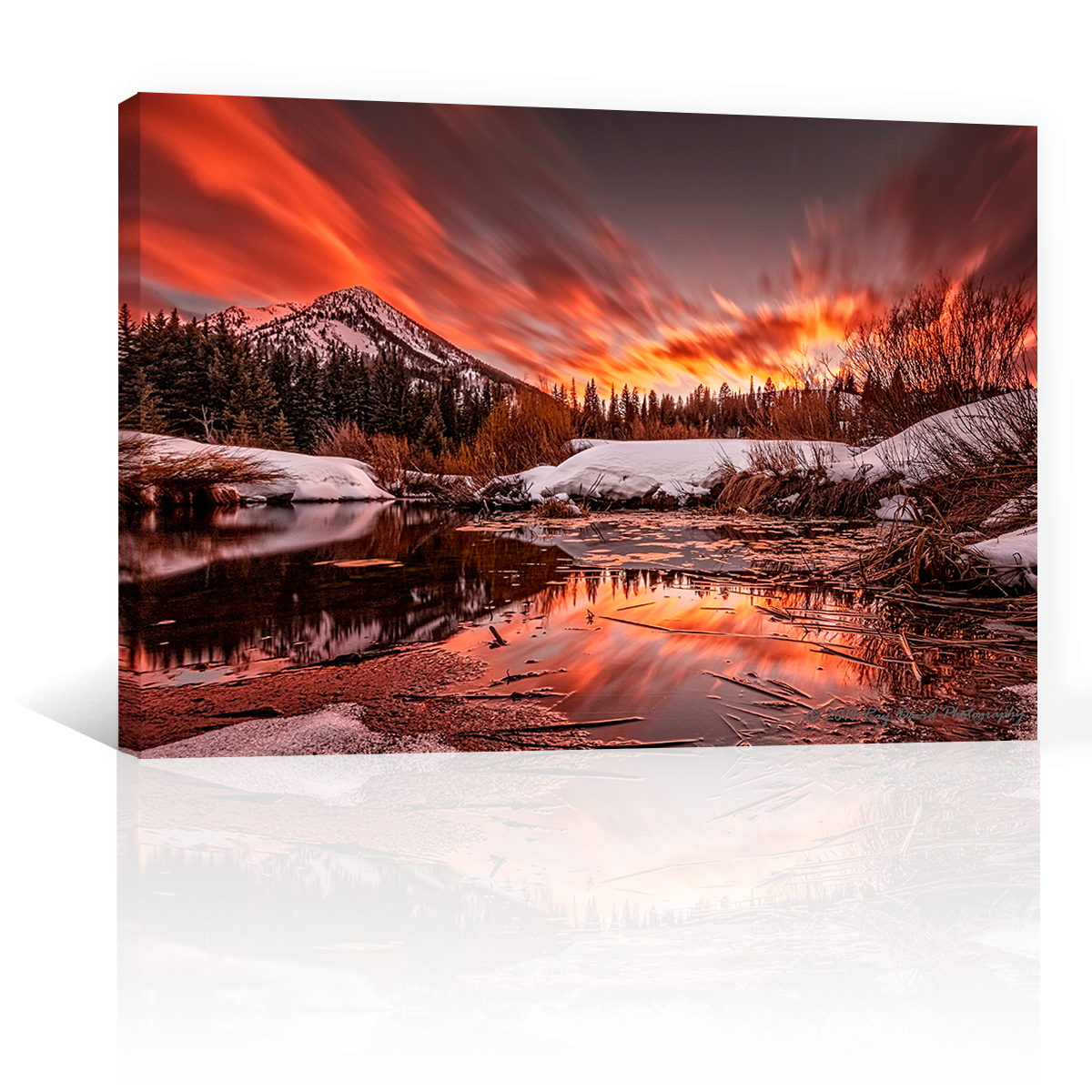 Lago Cottonwood