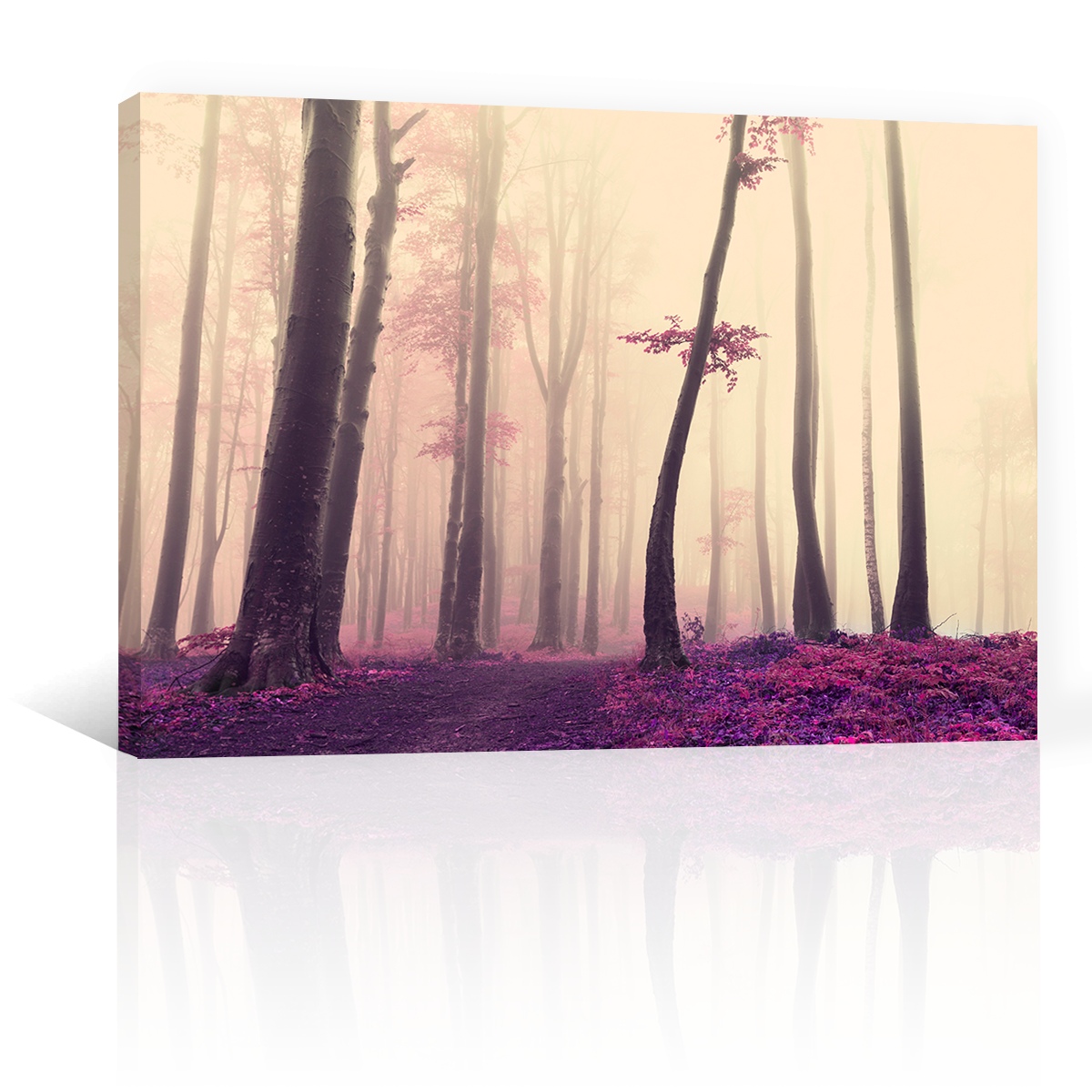 Arbol Neblina