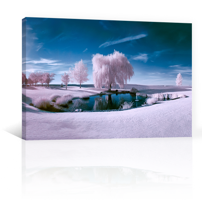 Bosque De Hielo Con Lago