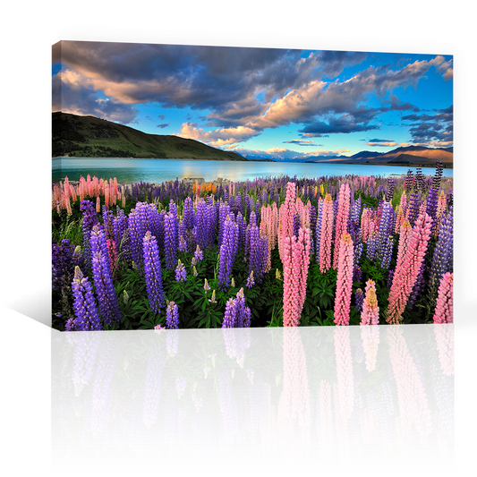 Lago Flores Tekapo Nubes