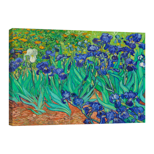 Arte Lirios Por Vincent Van Gogh