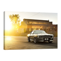 Mustang GT500 Aterdecer