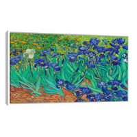 Arte Lirios Por Vincent Van Gogh