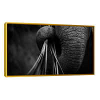 Trompa de Elefante