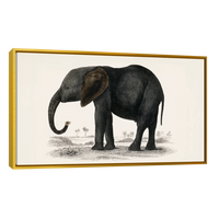 Historia De La Tierra Y La Naturaleza Animada Por Oliver Goldsmith
