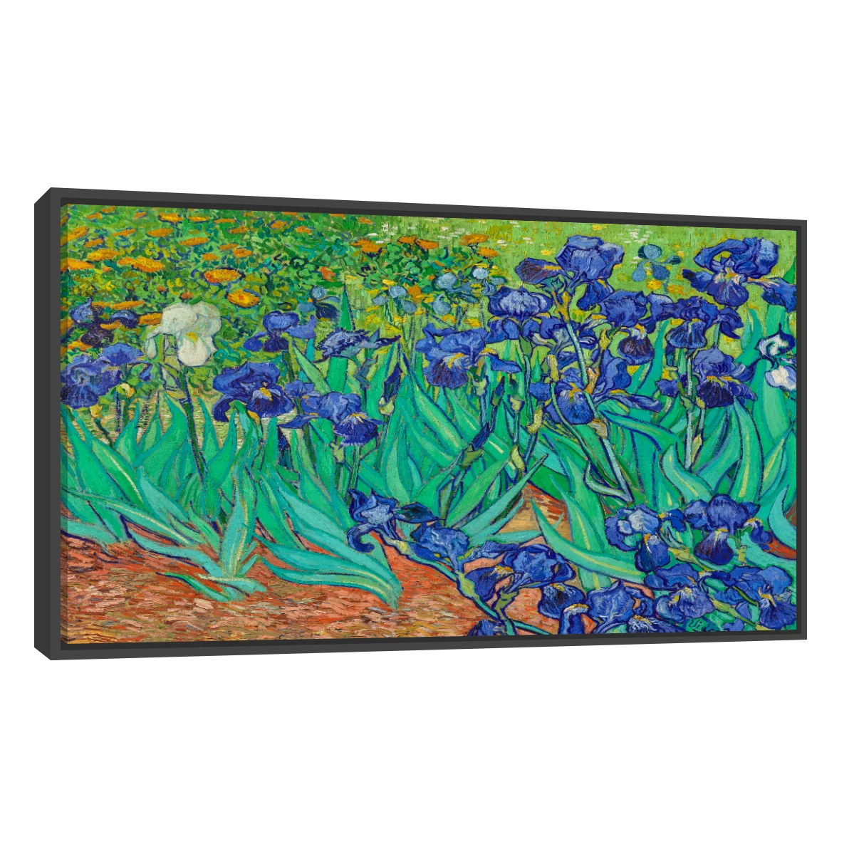 Arte Lirios Por Vincent Van Gogh