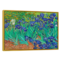 Arte Lirios Por Vincent Van Gogh